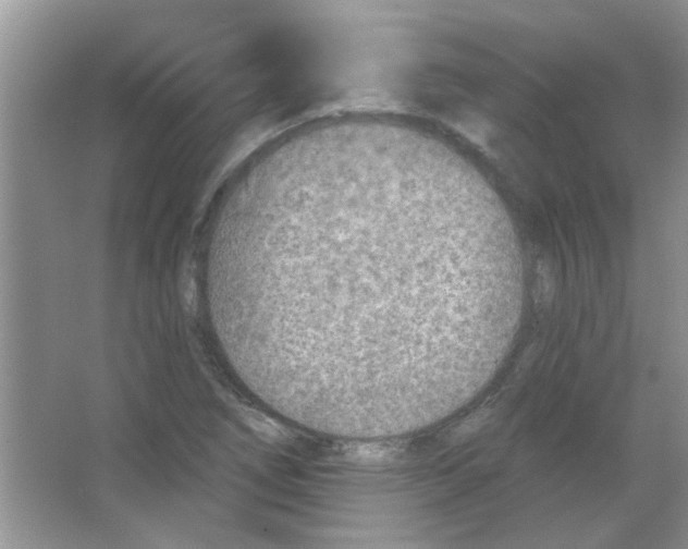 X0000065971266200603311829