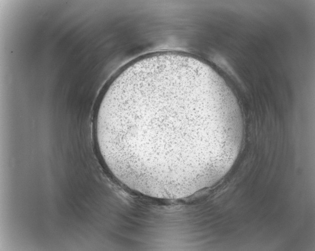 X0000065971268200603311829