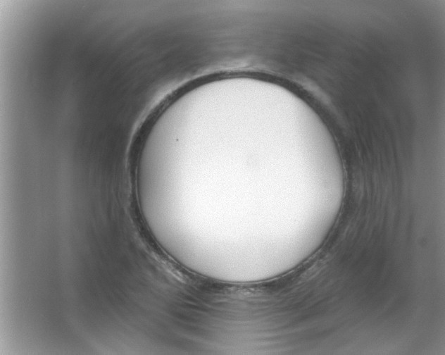 X0000065971270200603311829