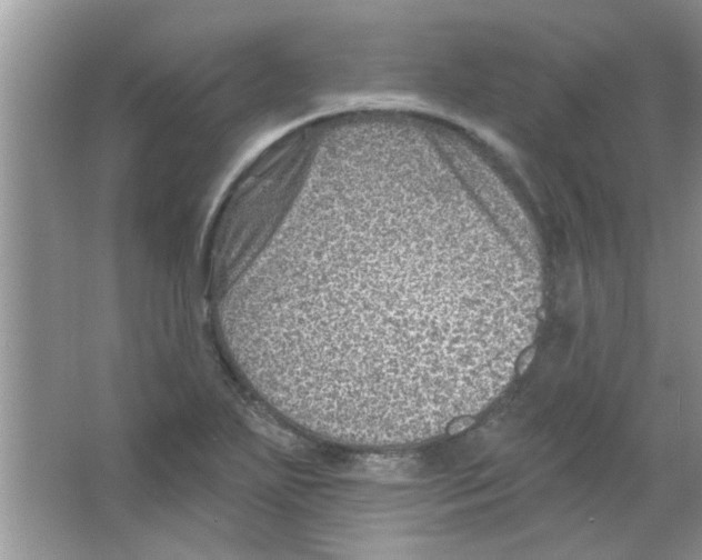 X0000065971271200603311829