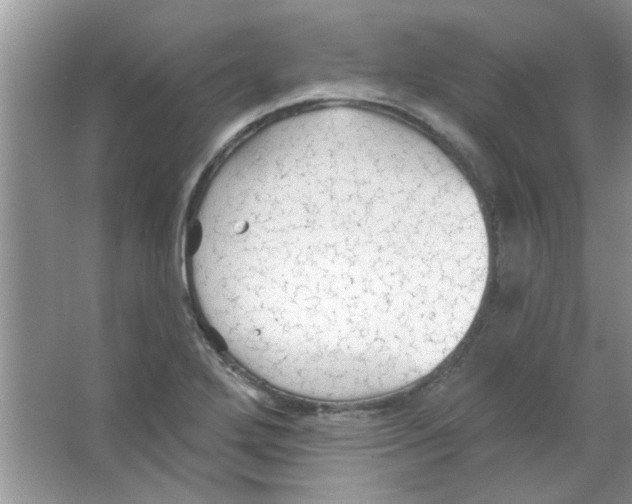 X0000065971272200603311829