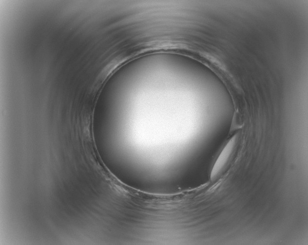 X0000065971273200603311829