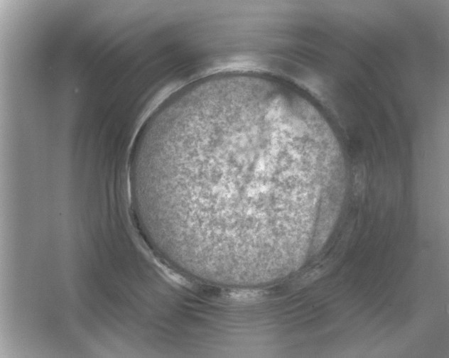 X0000065971274200603311829