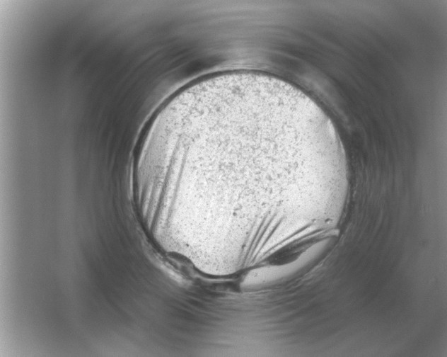 X0000065971276200603311829