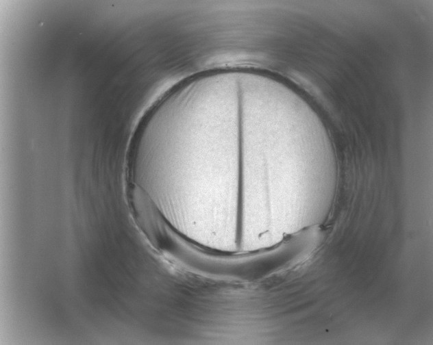 X0000065971277200603311829