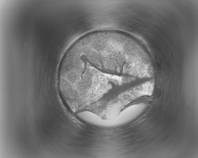 X0000065971279200603311829