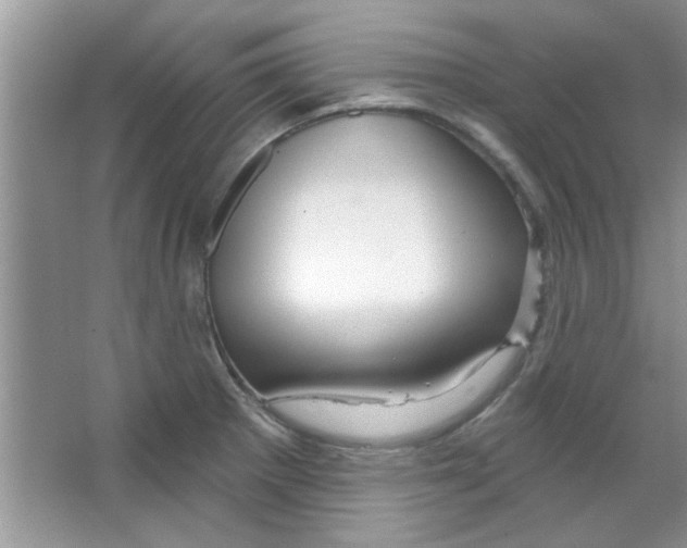 X0000065971281200603311829