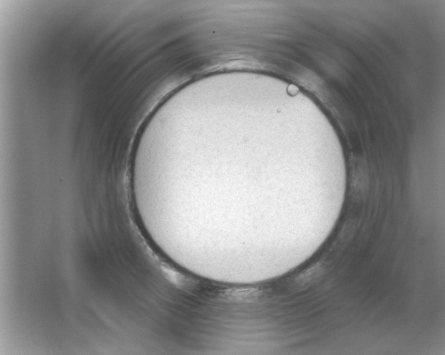 X0000065971282200603311829