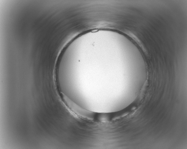 X0000065971285200603311829