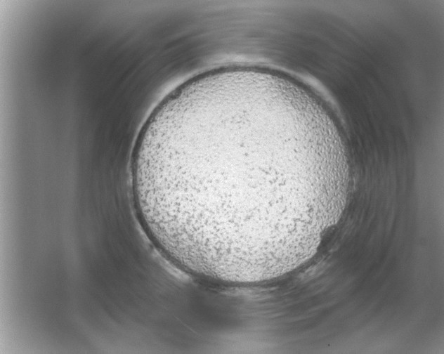 X0000065971287200603311829