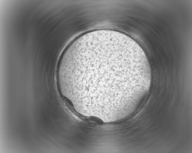 X0000065971288200603311829