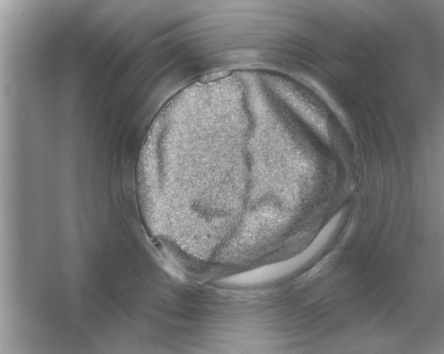 X0000065971289200603311829