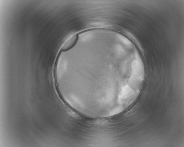 X0000065971291200603311829