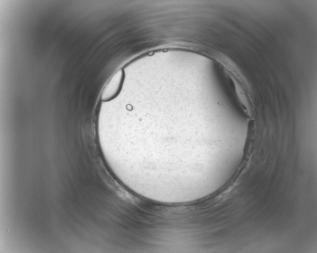 X0000065971292200603311829