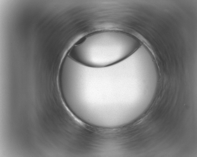 X0000065971293200603311829