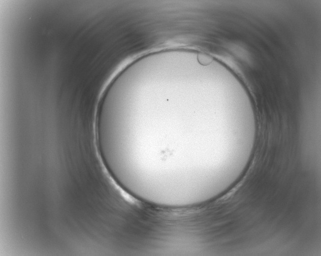 X0000065971294200603311829