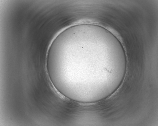 X0000065971296200603311829