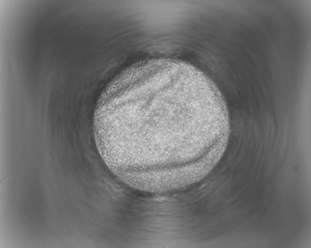 X0000065971297200603311828