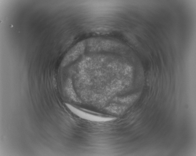 X0000065971298200603311828