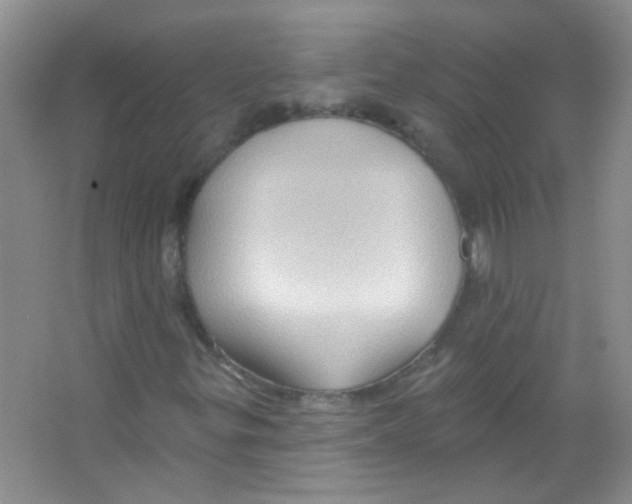 X0000065971299200603311828