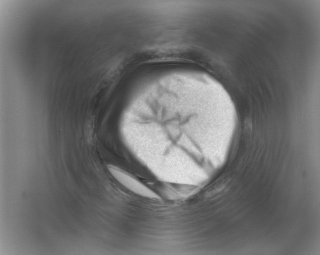 X0000065971300200603311828