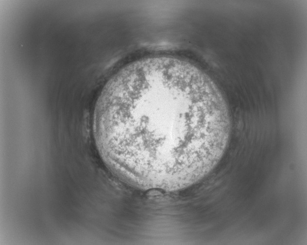 X0000065971301200603311828