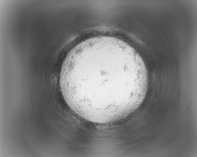 X0000065971302200603311828