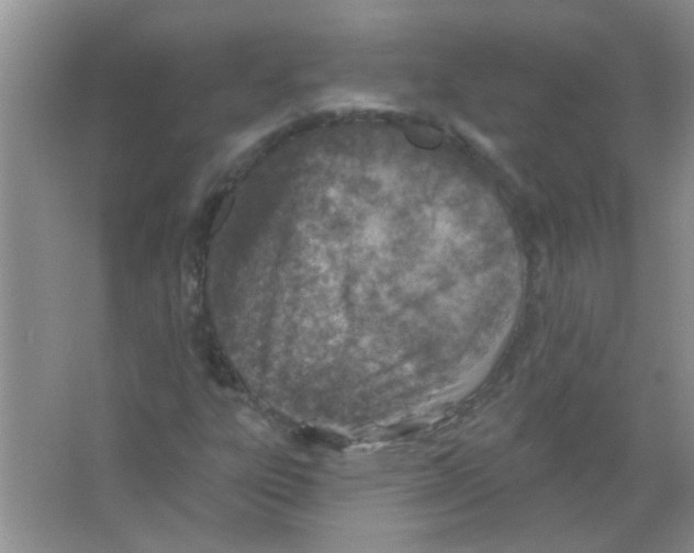 X0000065971303200603311828