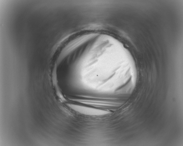 X0000065971304200603311828