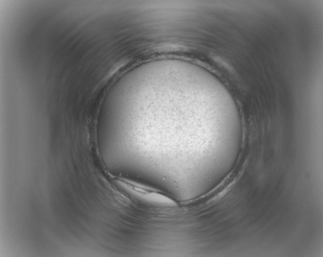 X0000065971305200603311828