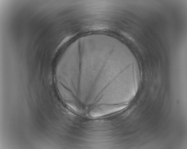 X0000065971306200603311828