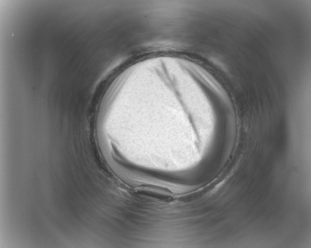 X0000065971309200603311828