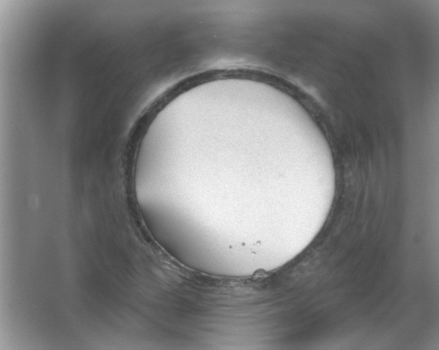 X0000065971311200603311828