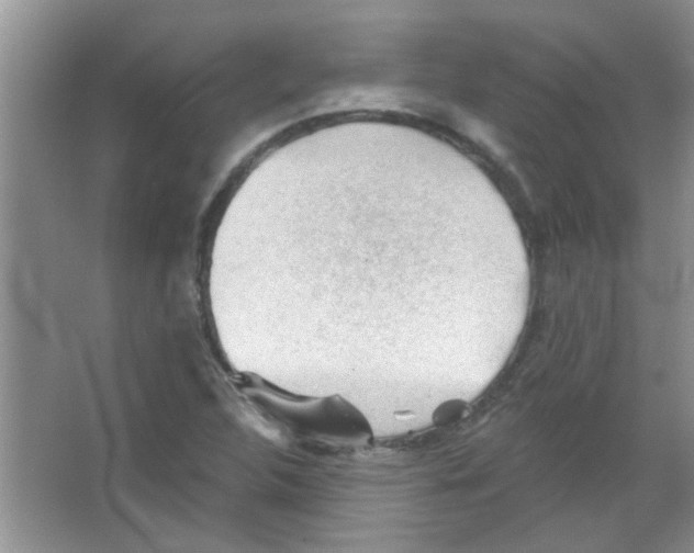 X0000065971312200603311828