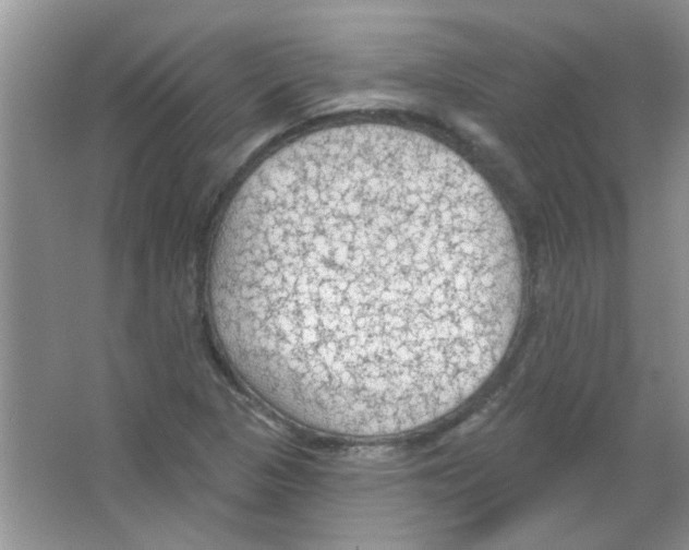 X0000065971313200603311828