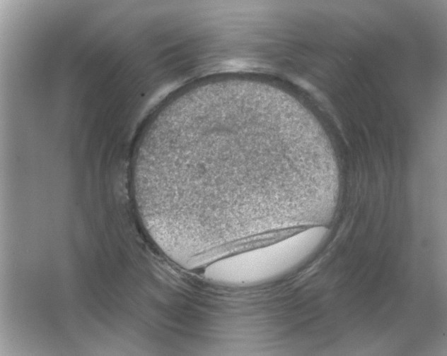 X0000065971314200603311828