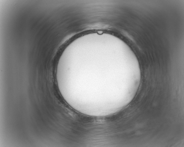 X0000065971315200603311828