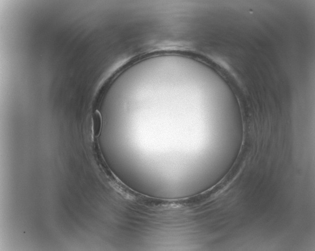 X0000065971317200603311828