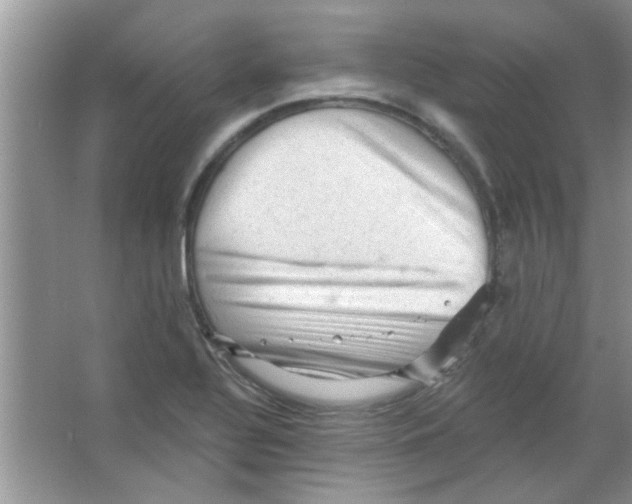 X0000065971320200603311828