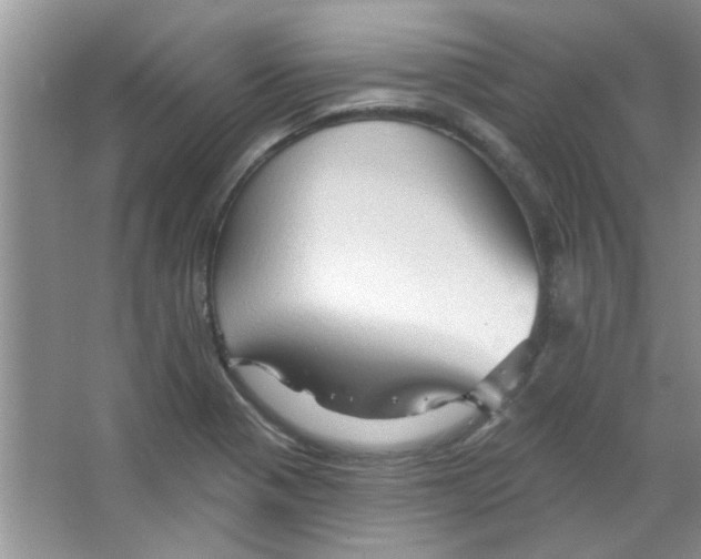 X0000065971321200603311828