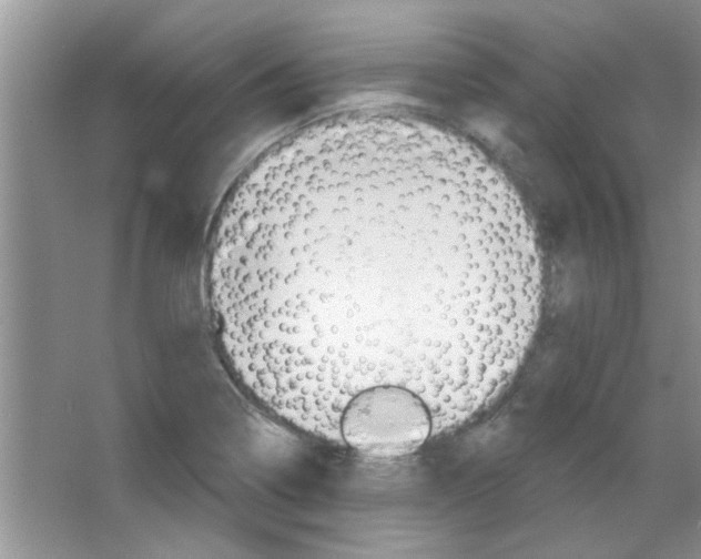 X0000065971322200603311828