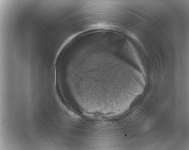 X0000065971323200603311828