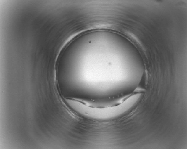 X0000065971324200603311828