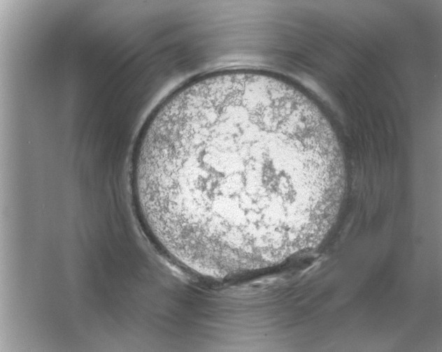 X0000065971325200603311828