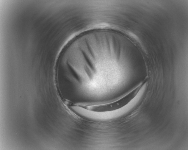 X0000065971326200603311828