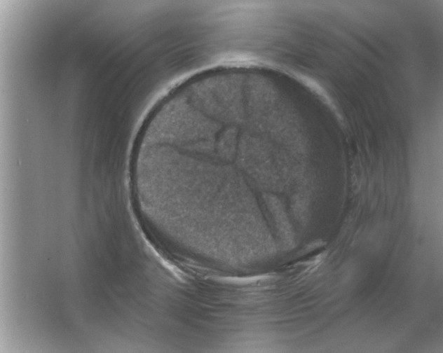 X0000065971327200603311828