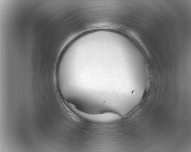 X0000065971328200603311828