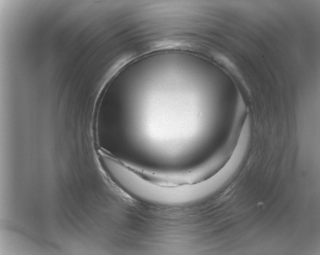 X0000065971330200603311828