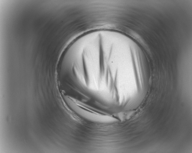 X0000065971332200603311828