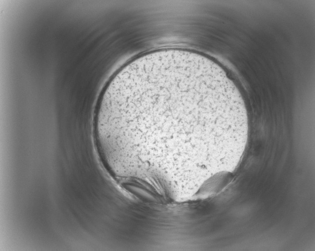 X0000065971333200603311828